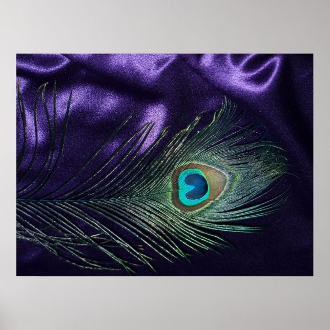 Phantastische Lila Pfauenfeder Poster (Vorne)