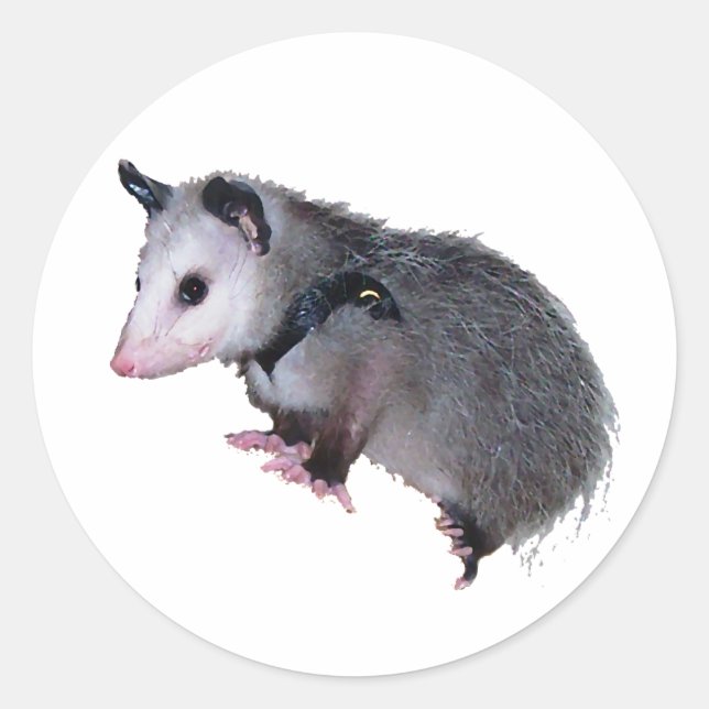 Phantastische Possum Opossum Runder Aufkleber (Vorderseite)