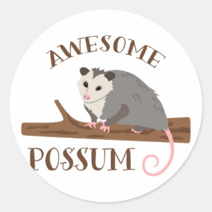 Phantastische Possum Runder Aufkleber
