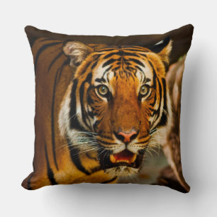 Phantastische Tiger-Schließung Kissen