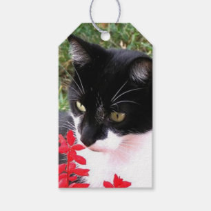 Phantastische Tuxedo Katze im Garten Geschenkanhänger