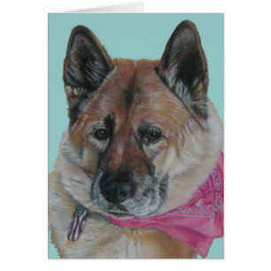phantastischer akita pink scarusa usa Fahnenschild