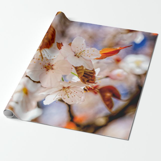 Phantastischer Haufen Sakura-Blume im Frühjahr Geschenkpapier (Ungerollt)
