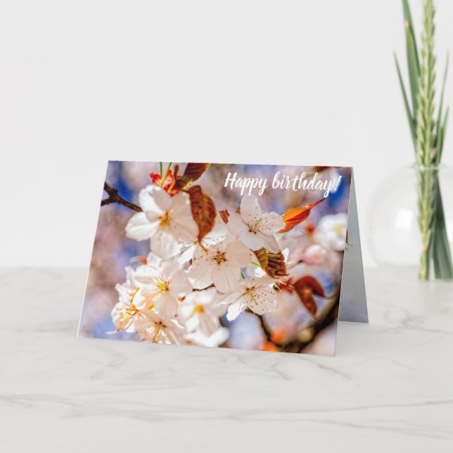 Phantastischer Haufen Sakura-Blume im Frühjahr Karte (Vorderseite)