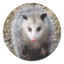 Phantastischer Possum Klassischer Rundaufkleber