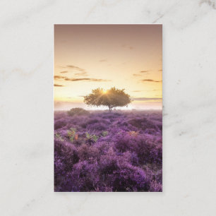 Phantastischer Sonnenaufgang Single und lila Heide Visitenkarte