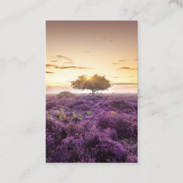 Phantastischer Sonnenaufgang Single und lila Heide Visitenkarte (Vorderseite)