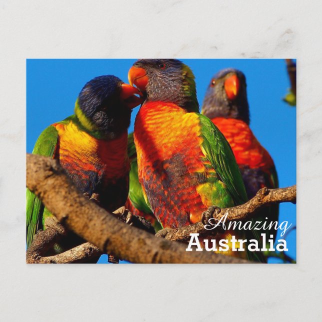 Phantastisches Australien Postkarte (Vorderseite)