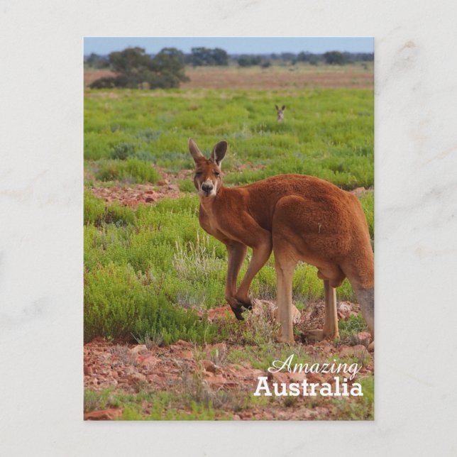 Phantastisches Australien Postkarte (Vorderseite)