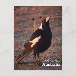 Phantastisches Australien Postkarte