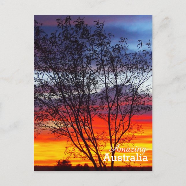 Phantastisches Australien Postkarte (Vorderseite)