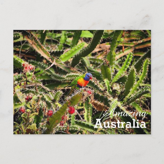 Phantastisches Australien Postkarte (Vorderseite)