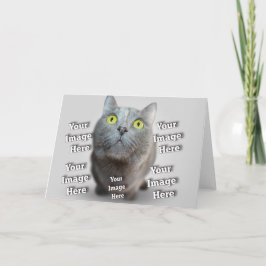 Phantastisches Foto für Hunde Katzenvogel Karte