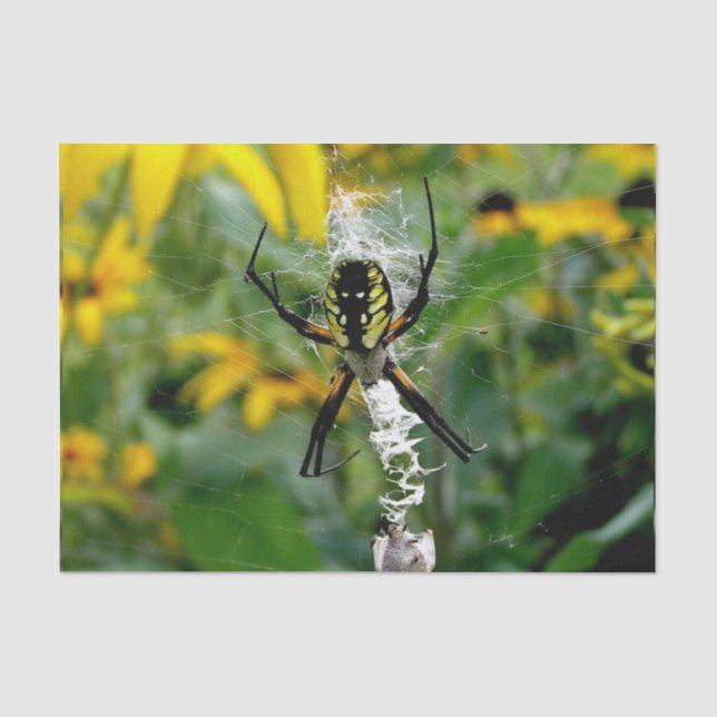 Phantastisches Foto Orb Spider im Web Seidenpapier (Vorderseite)