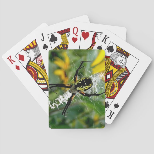 Phantastisches Foto Orb Spider im Web Spielkarten (Rückseite)