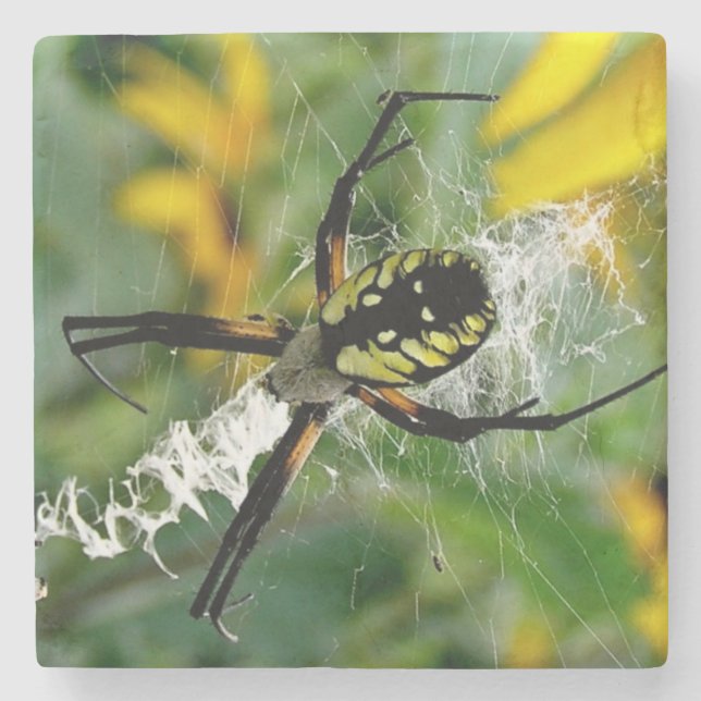 Phantastisches Foto Orb Spider im Web Steinuntersetzer (Vorderseite)