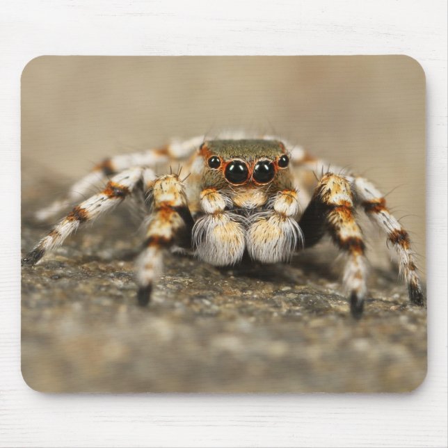 Phantastisches Nah-Up einer Tarantula-Spinne Mousepad (Vorne)