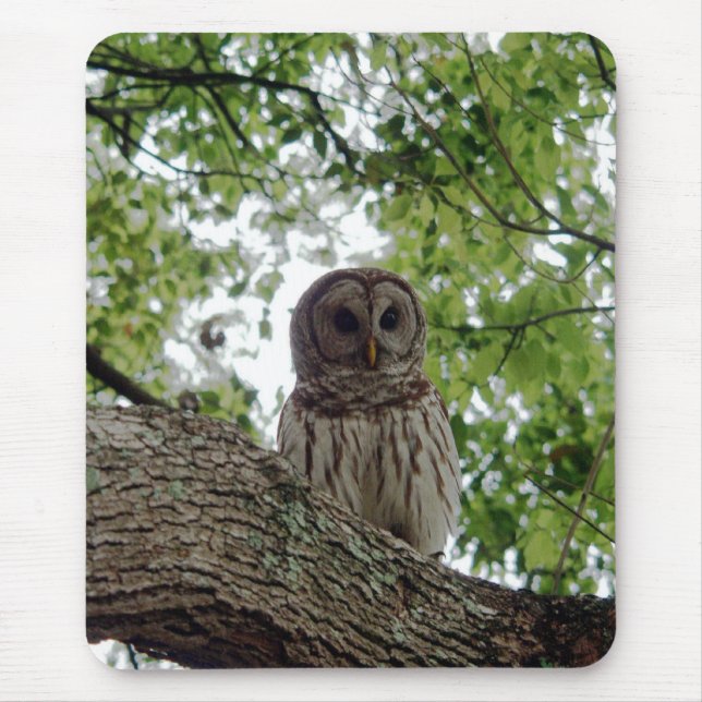 Phantastisches Owl Mousepad (Vorne)