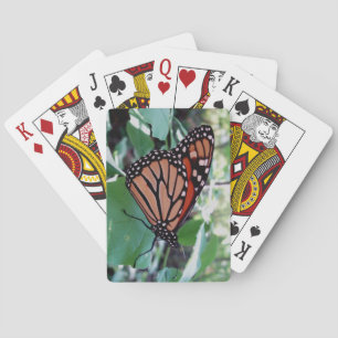 Phantastisches Schmetterlingsdeck beim Kartenspiel Spielkarten