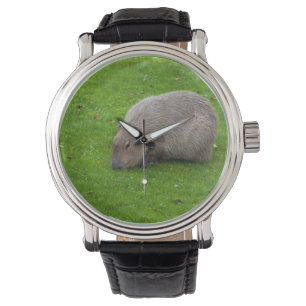 Phantastisches Tier Capybara Armbanduhr