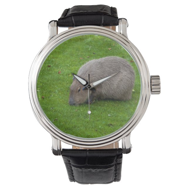 Phantastisches Tier Capybara Armbanduhr (Vorderseite)