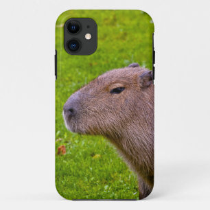 Phantastisches Tier Capybara iPhone 11 Hülle