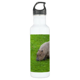 Phantastisches Tier Capybara Edelstahlflasche