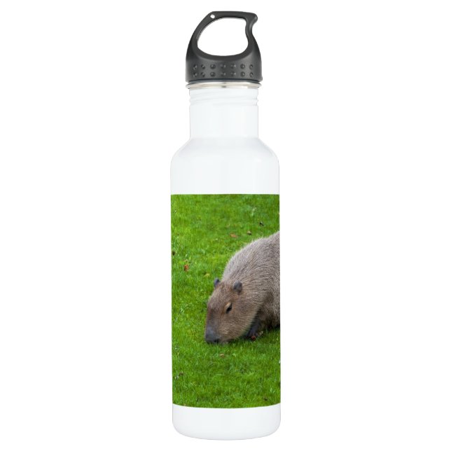 Phantastisches Tier Capybara Edelstahlflasche (Vorderseite)