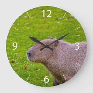 Phantastisches Tier Capybara Große Wanduhr