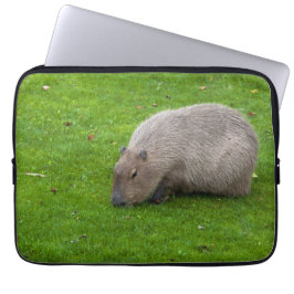 Phantastisches Tier Capybara Laptopschutzhülle
