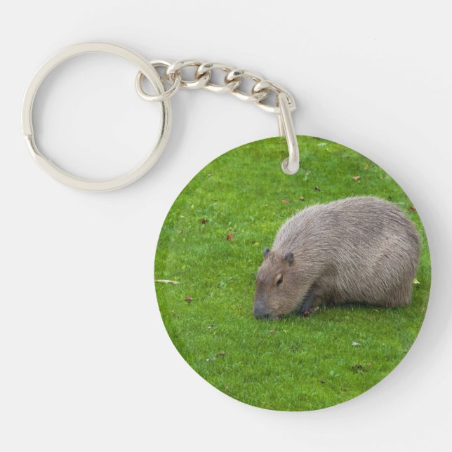 Phantastisches Tier Capybara Schlüsselanhänger (Vorderseite)