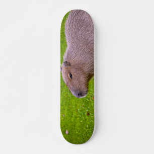 Phantastisches Tier Capybara Skateboard
