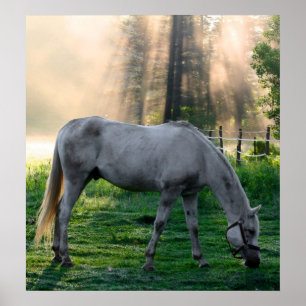 Phantastisches Weizen Poster