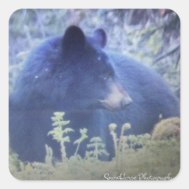 Phantom Der schwarze Bär Quadratischer Aufkleber (Vorderseite)