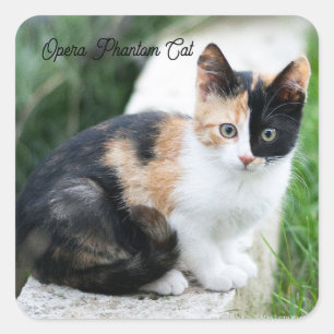 Phantom Opera Cat Quadratischer Aufkleber