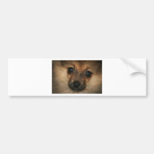 Phantomhund Autoaufkleber
