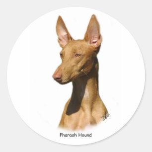 Pharao Hound 9P003D-60 Runder Aufkleber