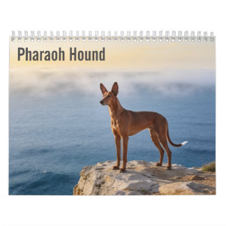 Pharaoh Hound 2027 Wandkalender