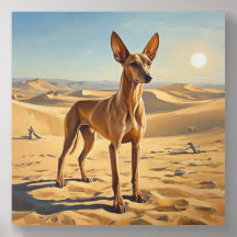 Pharaoh Hound
