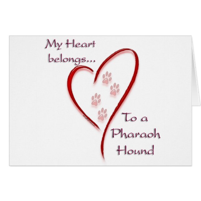 Pharaoh Hound Heart Belongs (Vorderseite (Horizontal))