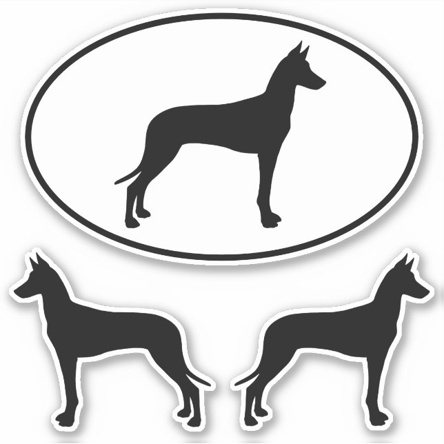 Pharaoh Hound Hunde Silhouetten Vinyl Sticker Set (Vorderseite)