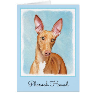 Pharaoh Hound Painting - Niedliche Original Hunde 