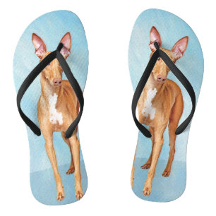 Pharaoh Hound Painting - Niedliche Original Hunde Flip Flops