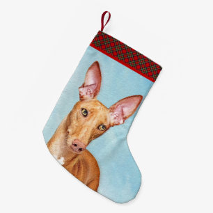Pharaoh Hound Painting - Niedliche Original Hunde Kleiner Weihnachtsstrumpf