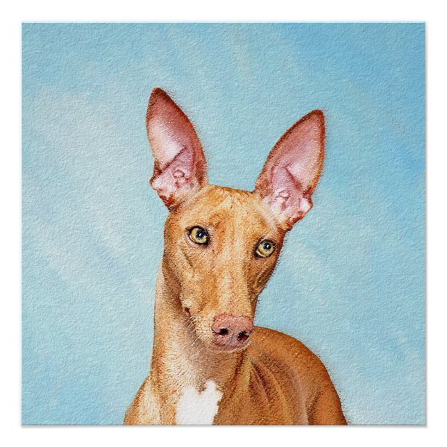 Pharaoh Hound Painting - Niedliche Original Hunde  Poster (Vorderseite)