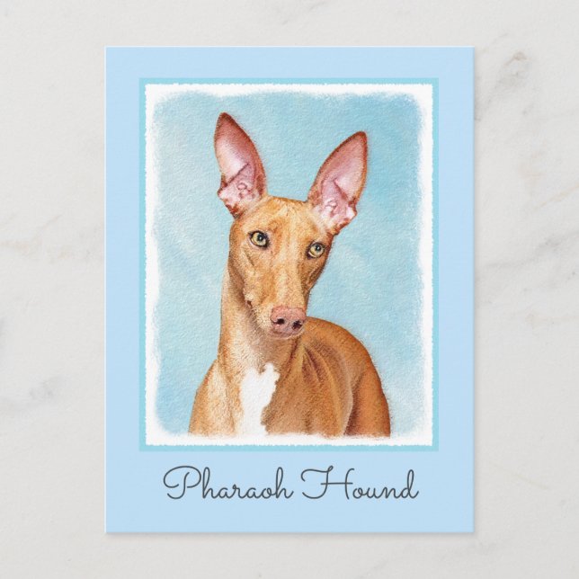 Pharaoh Hound Painting - Niedliche Original Hunde  Postkarte (Vorderseite)