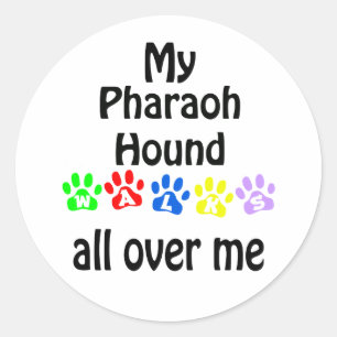Pharaoh Hound Walks Design Runder Aufkleber