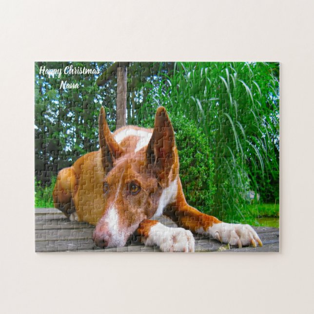 Pharaonenhund. (Horizontal)