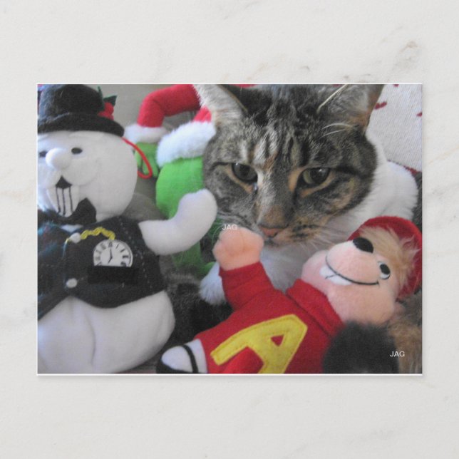 Phat Cat & Friends Postkarte (Vorderseite)
