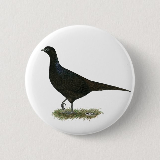 Pheasant Black Hen Button (Vorderseite)